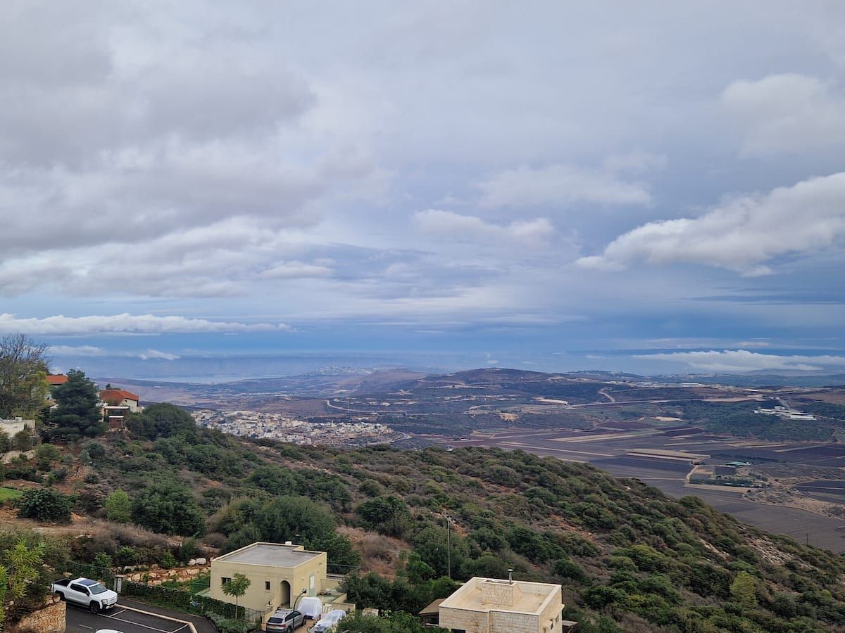 אלונה אומנות מהטבע-סוויטה 2